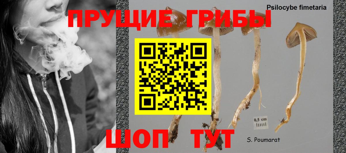 Галлюциногенные грибы прущие грибы Жуковский