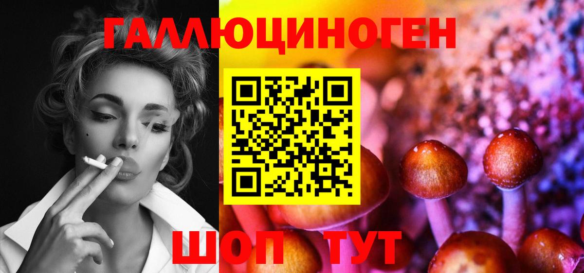 Жуковский  Псилоцибиновые грибы Psilocybe  Вход с VPN 